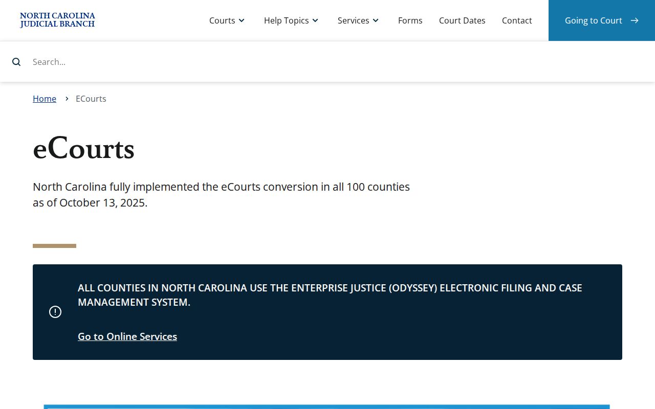 Duplin County court docket eCourts access information